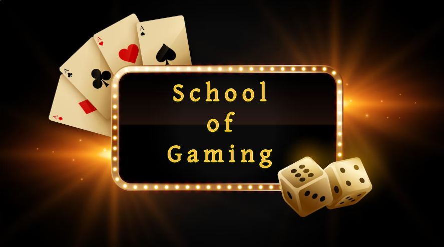 School of Gaming پاکستان